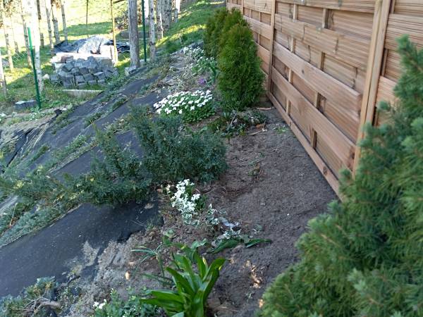 Pokoje Gościnne Venezia