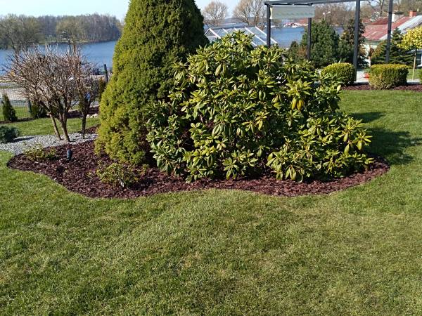 Pokoje Gościnne Venezia