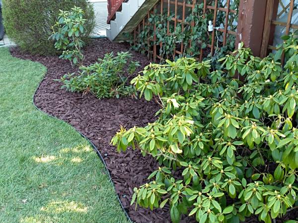 Pokoje Gościnne Venezia