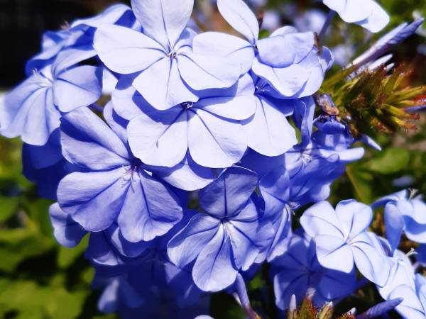 Kwatery Prywatne i Pokoje Do Wynajęcia u Lusii