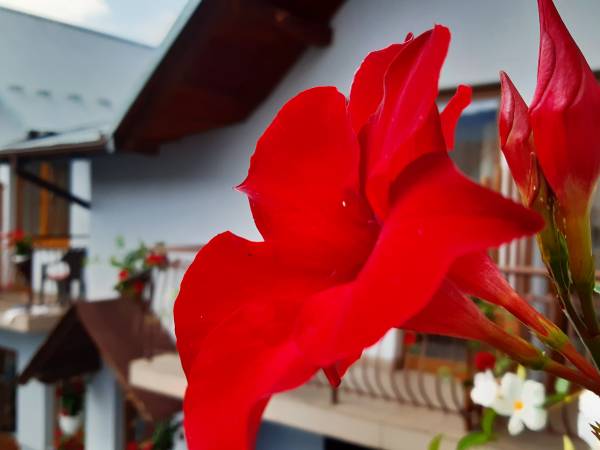 Kwatery Prywatne i Pokoje Do Wynajęcia u Lusii