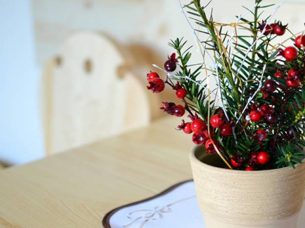 Pokoje Pod Bieńkulą