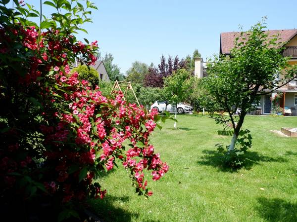 Pokoje Gościnne Adam