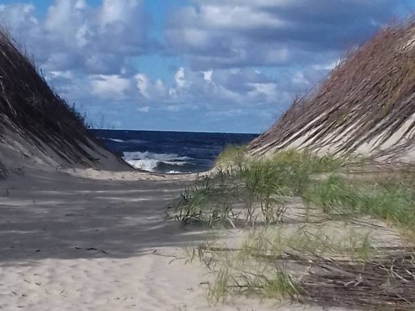 Pokoje Gościnne Rekin