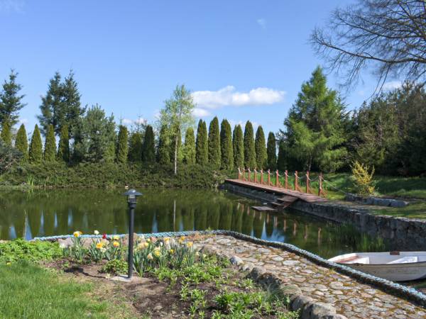 Widok na zarybiony staw