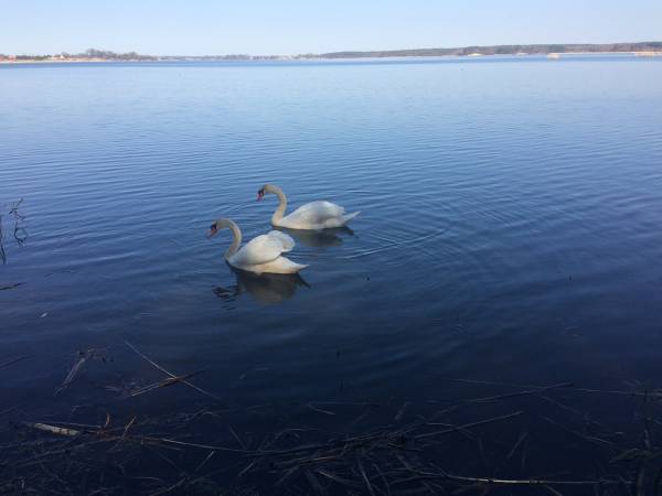 Widok z mola oddalonego 30m od domku