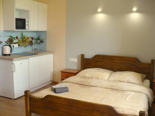 Aneksy kuchenne wyposażone w kuchenkę indukcyjną, mikrofalówkę, czajnik, naczynia.