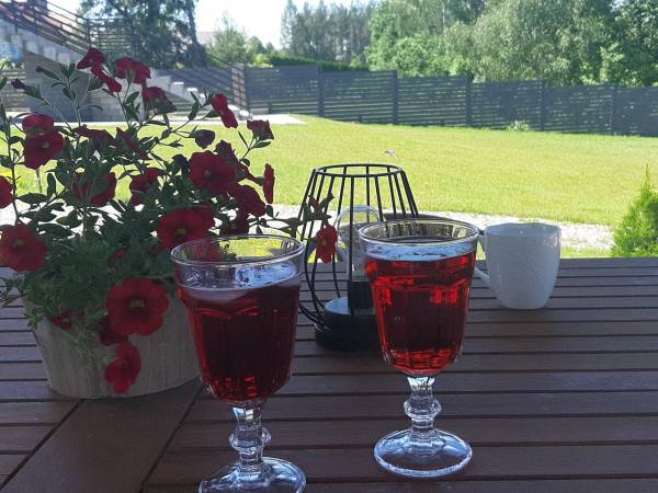 Wigierska NiemaSówka