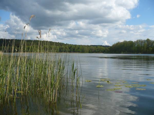 Apartamenty Nad Jeziorem