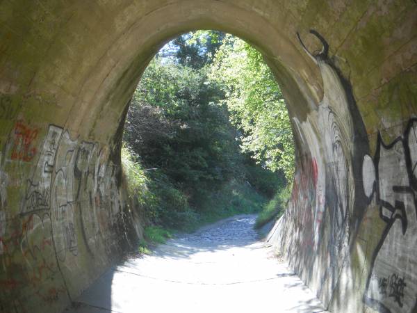 Rezerwat przyrody drogą na plaze