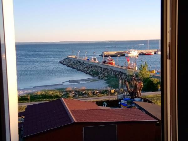 Widok z okna pokoju "AHOJ PRZYGODO!"