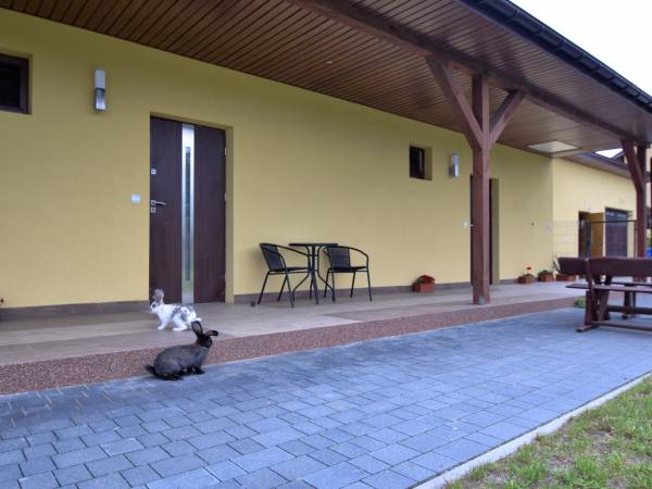 Agroturystyka u Macieja