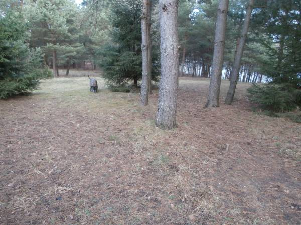 Domek Letniskowy nad Jeziorem