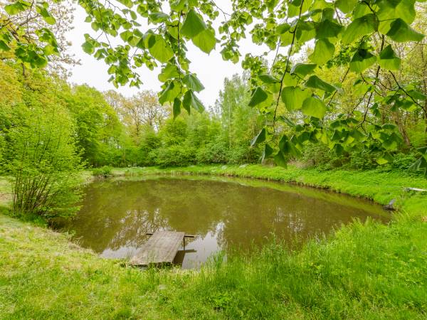 Gospodarstwo Agroturystyczne Pod Lipami