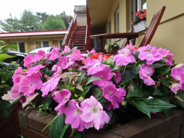 Pokoje Gościnne Morska 2