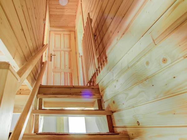 Śmiała 15 Słoneczniki