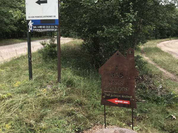 365 DNI JASIA I MAŁGOSI POD JEDNYM DACHEM