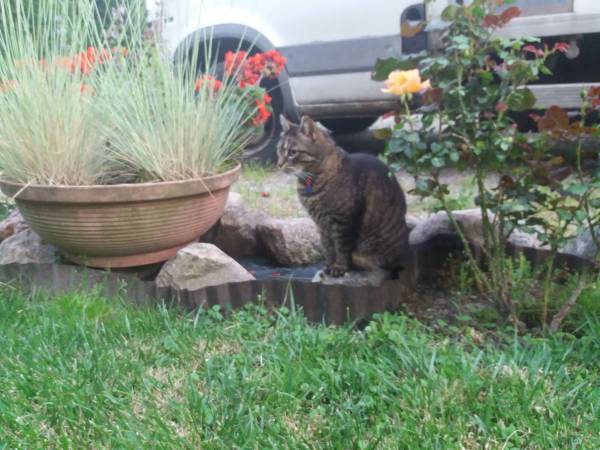 Kwatera Prywatna I Pracownicza Przy Fontannie