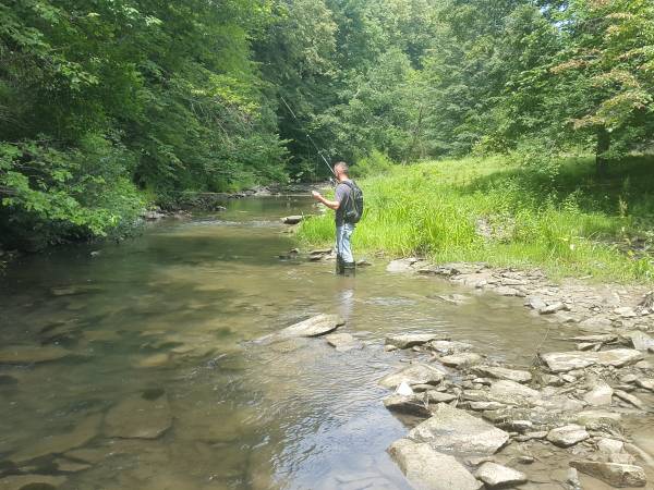 Rzeczka przy domkach