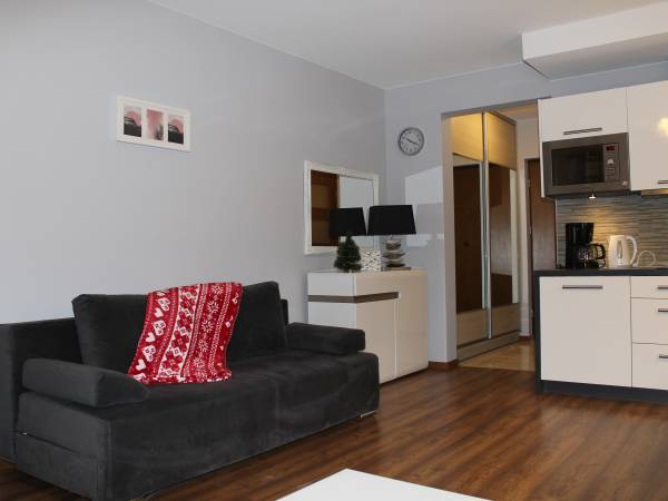 Apartament u Wioli