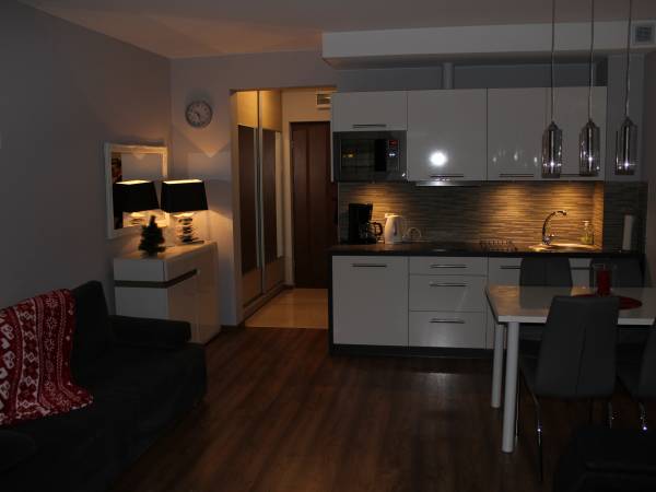 Apartament u Wioli