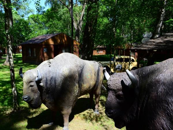 Ośrodek Wczasowy Bosman