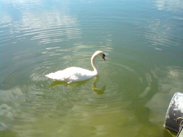 Domek Letniskowy u Danki