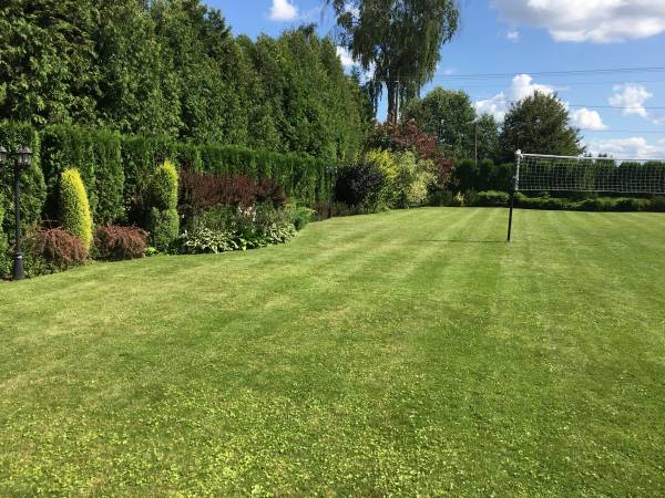 Miejsce do gry w siatkówke, ogórd