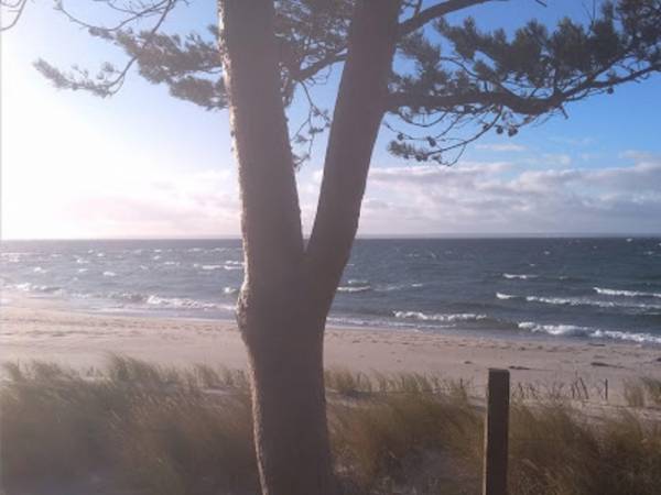 Dom Letniskowy Martin