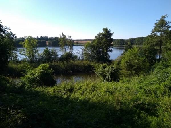 Gospodarstwo Agroturystyczne Krystyna Mazur