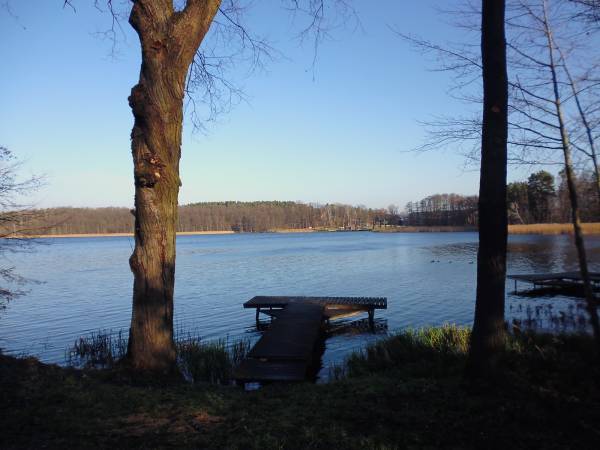 Dom w Zieleni Nad Jeziorem