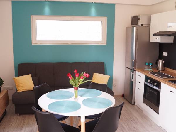 salon z aneksem kuchennym BALTICANA2