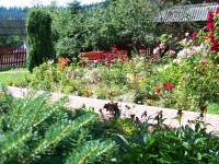 Za Borem Pokoje Gościnne