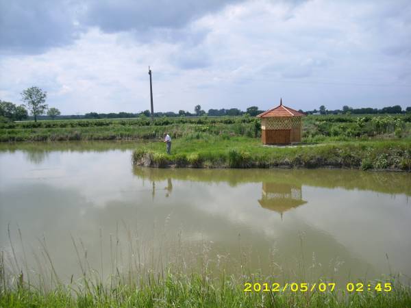 staw rybny z altanka na terenie obiektu