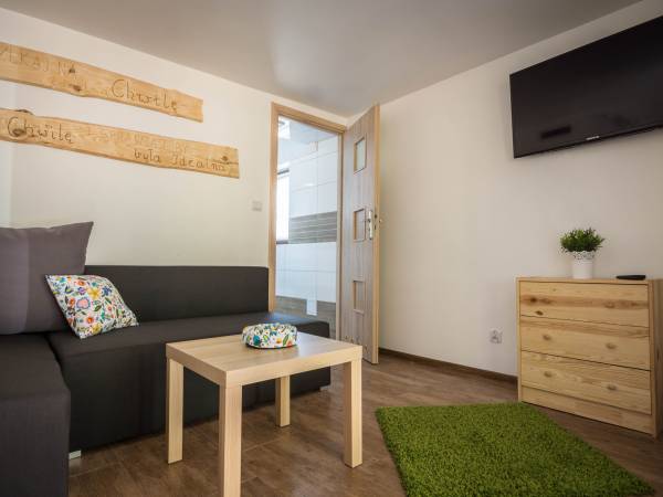 Salon- mieszkanie nr 2