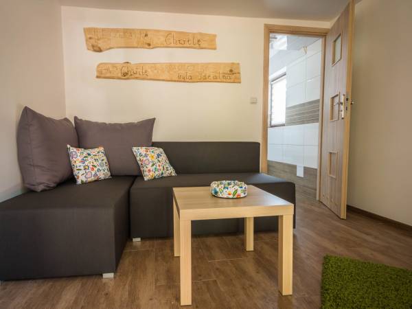 Salon- mieszkanie nr 2