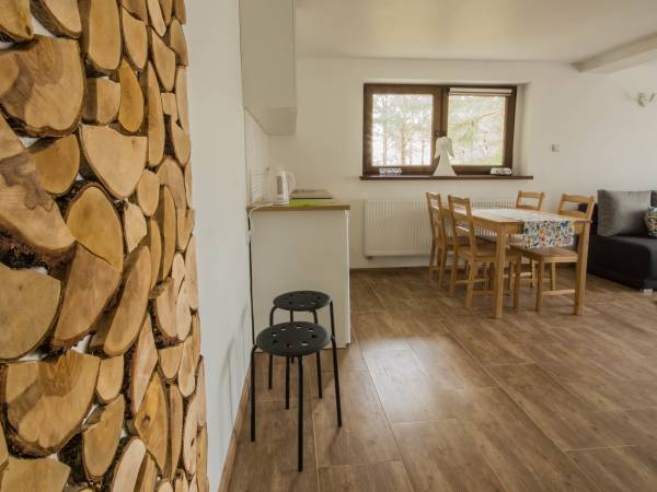 Aneks kuchenny w salonie - mieszkanie nr 1