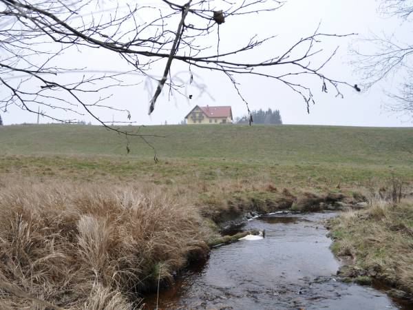 Doboszówka jesienią