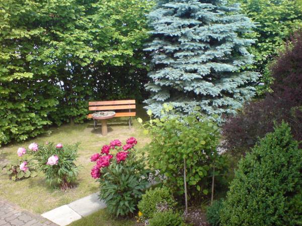 Część parkowo-ogrodowa