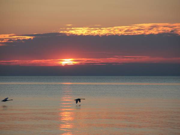 Całoroczny dom na morzem - Rusinowo koło Jarosławca