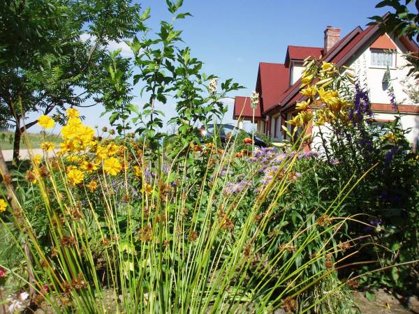 Mrowisko-Agroturystyka