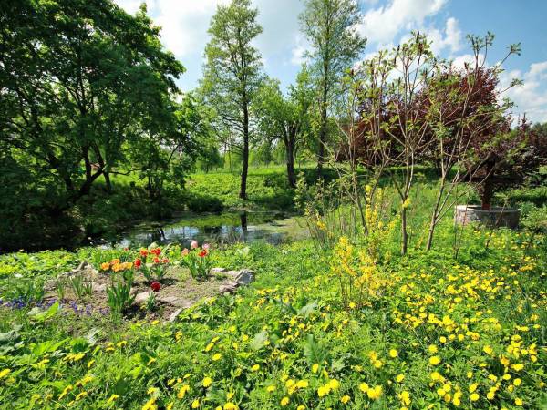 Domek 8 osobowy, działka