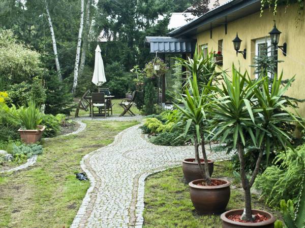 Mieszkania i Pokoje do wynajęcia