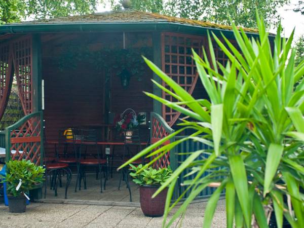 Mieszkania i Pokoje do wynajęcia