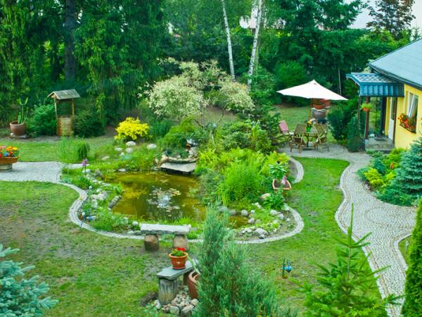 Lato w ogrodzie-widok z góry.