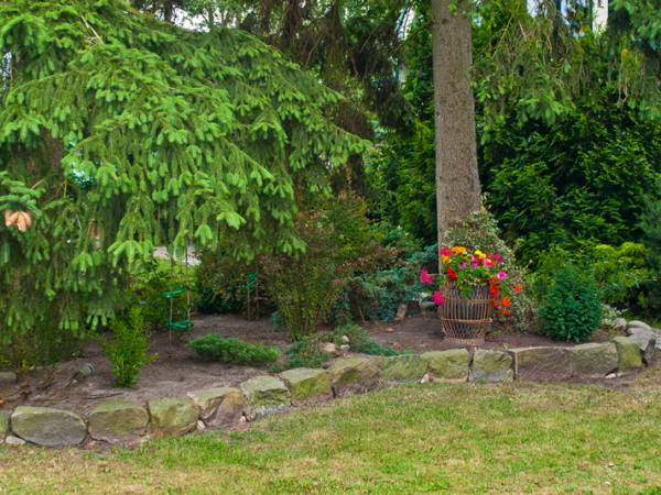 Lato 2012. Różne zakątki przy domku w Morzyczynie.