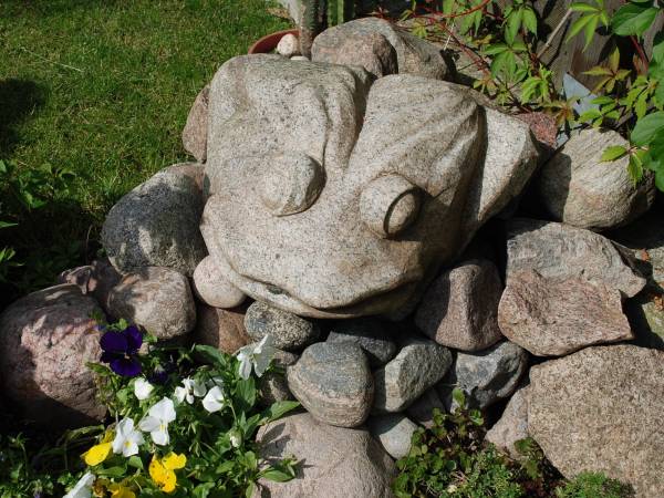 żabka nie rechocze :)