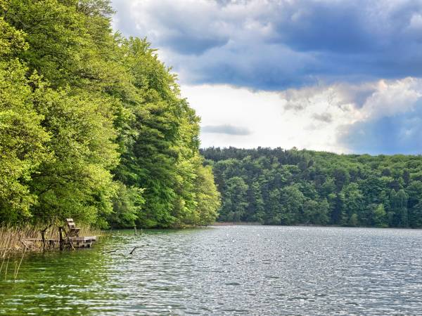 Jezioro Trześniowskie