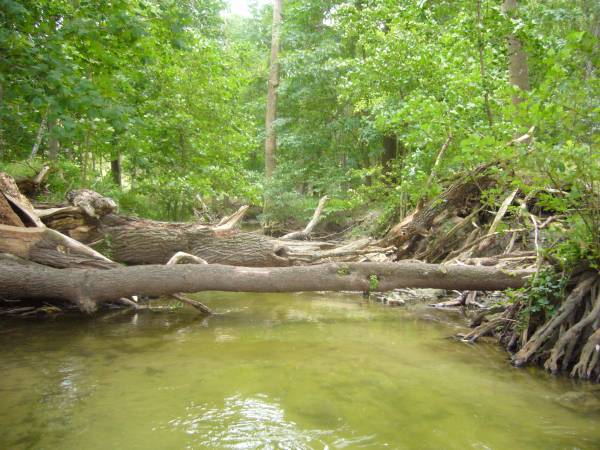 Rzeka wplywajaca do jeziora Wedromierz