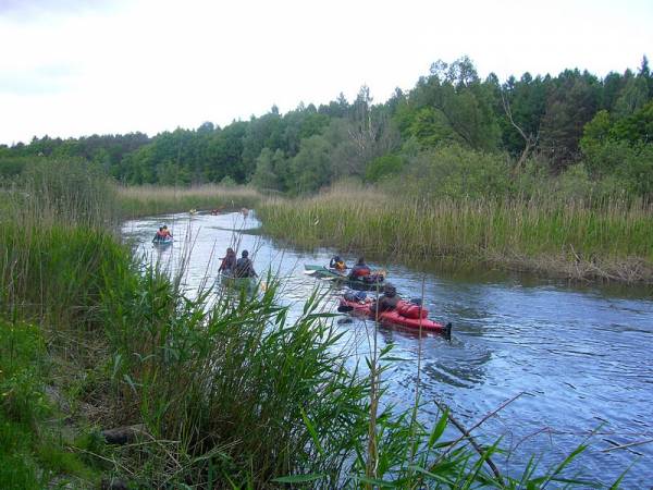 Splyw kajakowy na Obrze